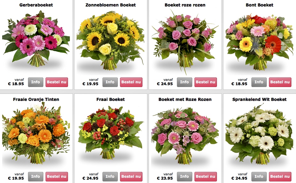 Unique Flowers Curacao Best Flower Site